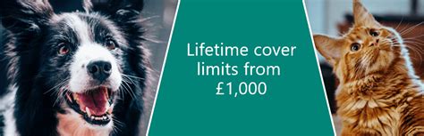 lifetime condition limit pet insurance.